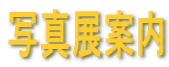 �ʐ^�W�ē�