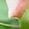 �Q