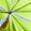 �p��