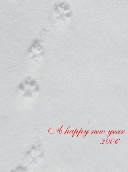 2006 new year
