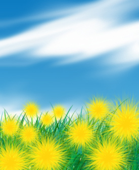 ���z�̃��C�I��