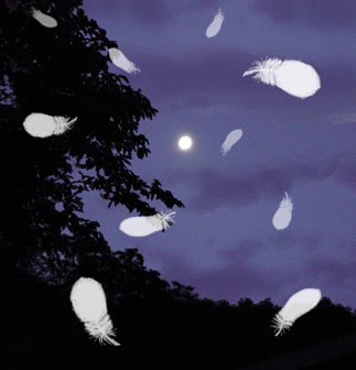 lune aile