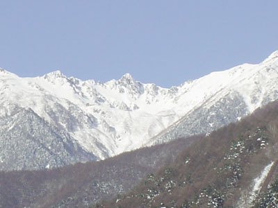 ���{�A���v�X