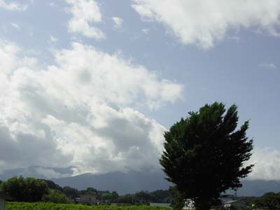 �Ƃ��猩���镗�i