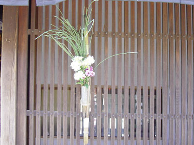 �ؑ]�̌���