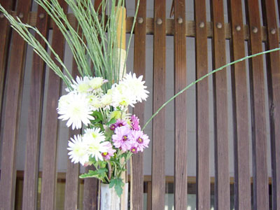 �ؑ]�̌���