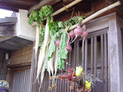 �ؑ]�̌���