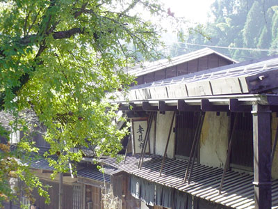 �ؑ]�̌���