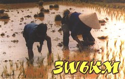 3W