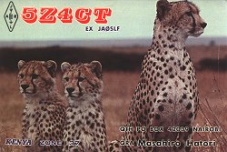 5Z