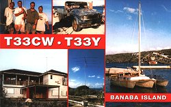 T33