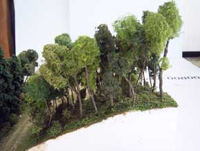 広葉樹植栽状況