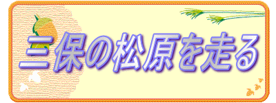 三保の松原を走る