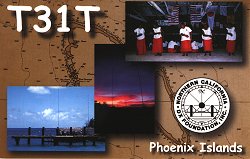 T31